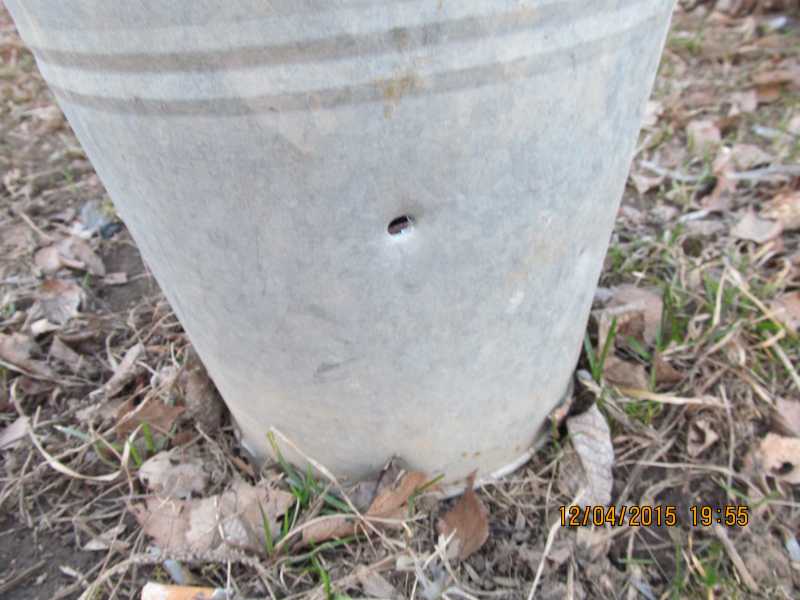 2)Хорошая погодка, можно пострелять