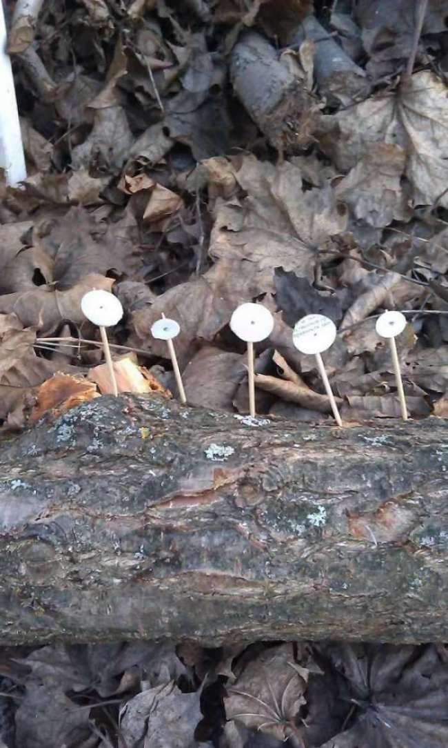 9)Праздничные стрелялки