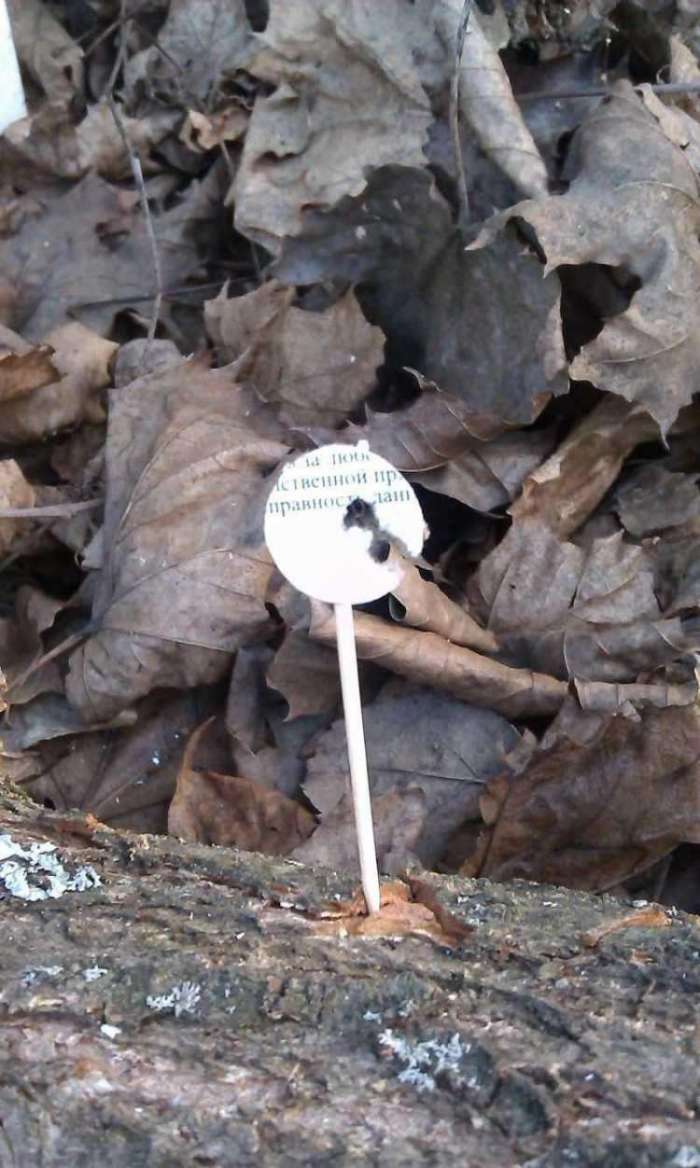 11)Праздничные стрелялки