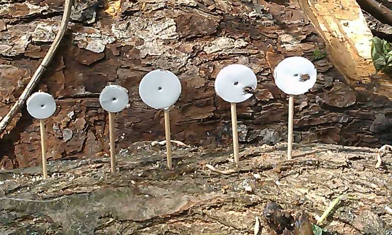 15)Праздничные стрелялки