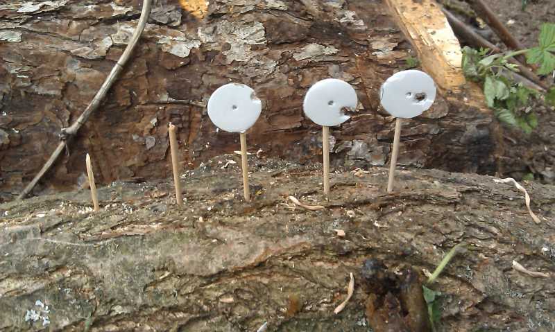 16)Праздничные стрелялки