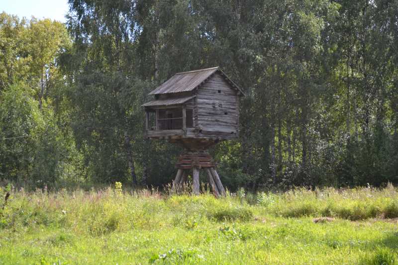 6)Миссионерство в Северные Земли.