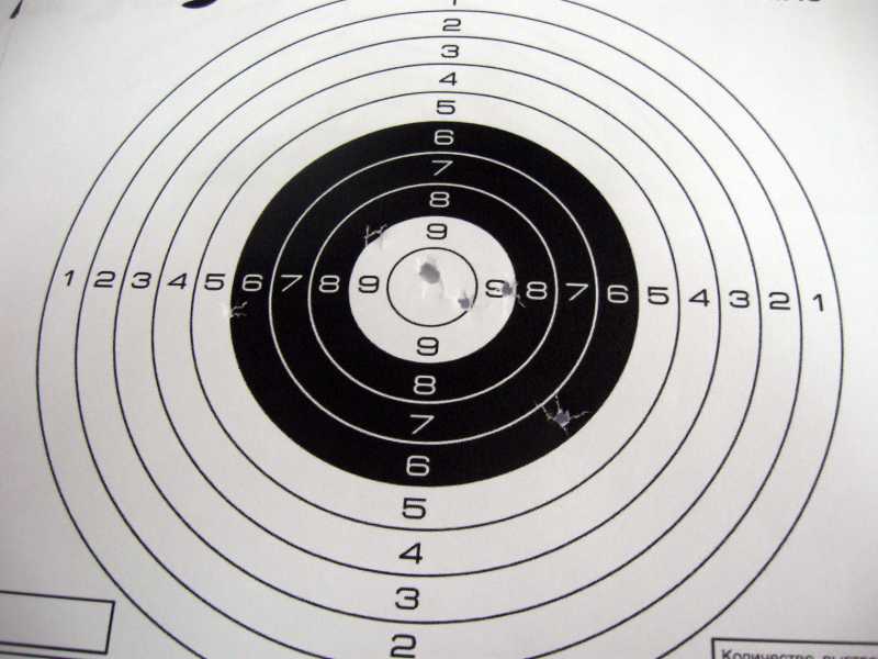 40)Swiss Arms 357-4, или кило змеиного восторга