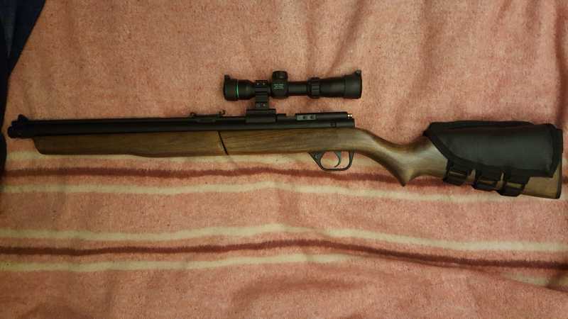 1)Crosman Sheridan 397 