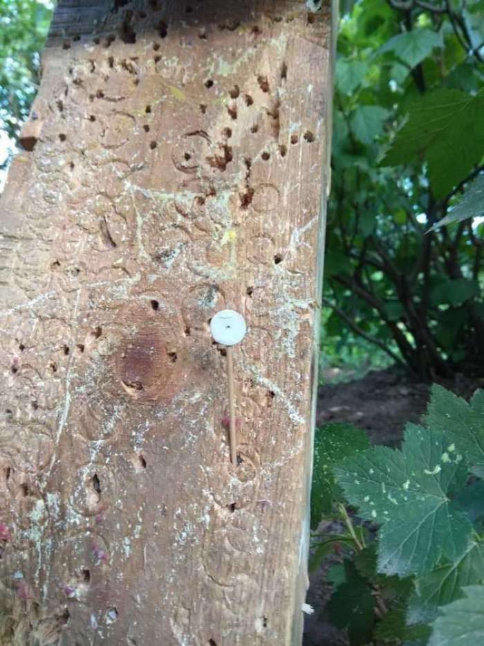 13)Т-4 Демьян. Продолжение истории По заявкам читателей