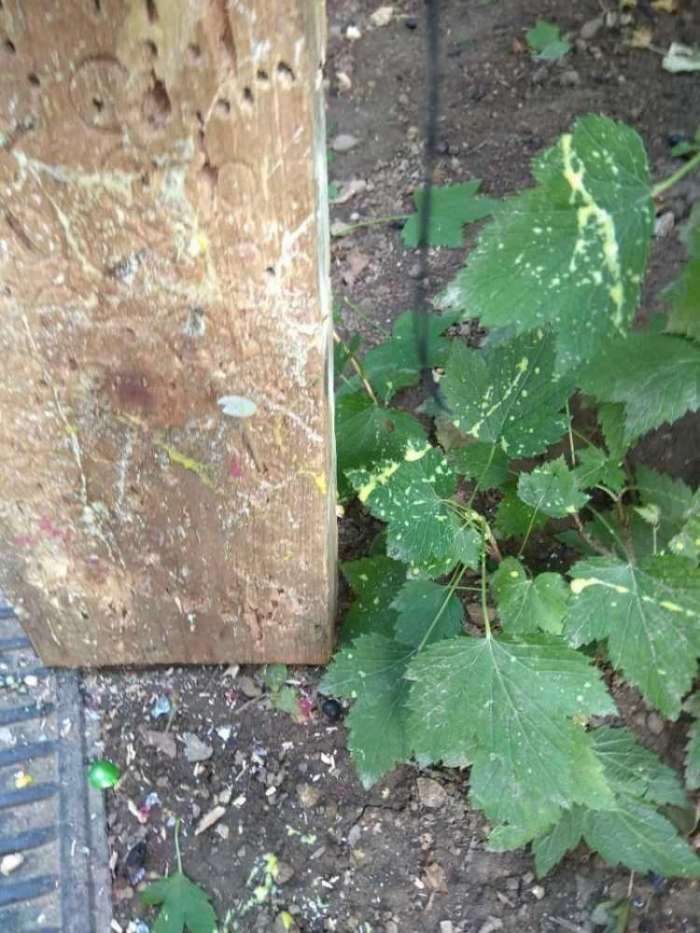 17)Т-4 Демьян. Продолжение истории По заявкам читателей