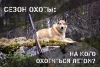 Сезон охоты 1