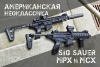 Оружие Sig Sauer 1