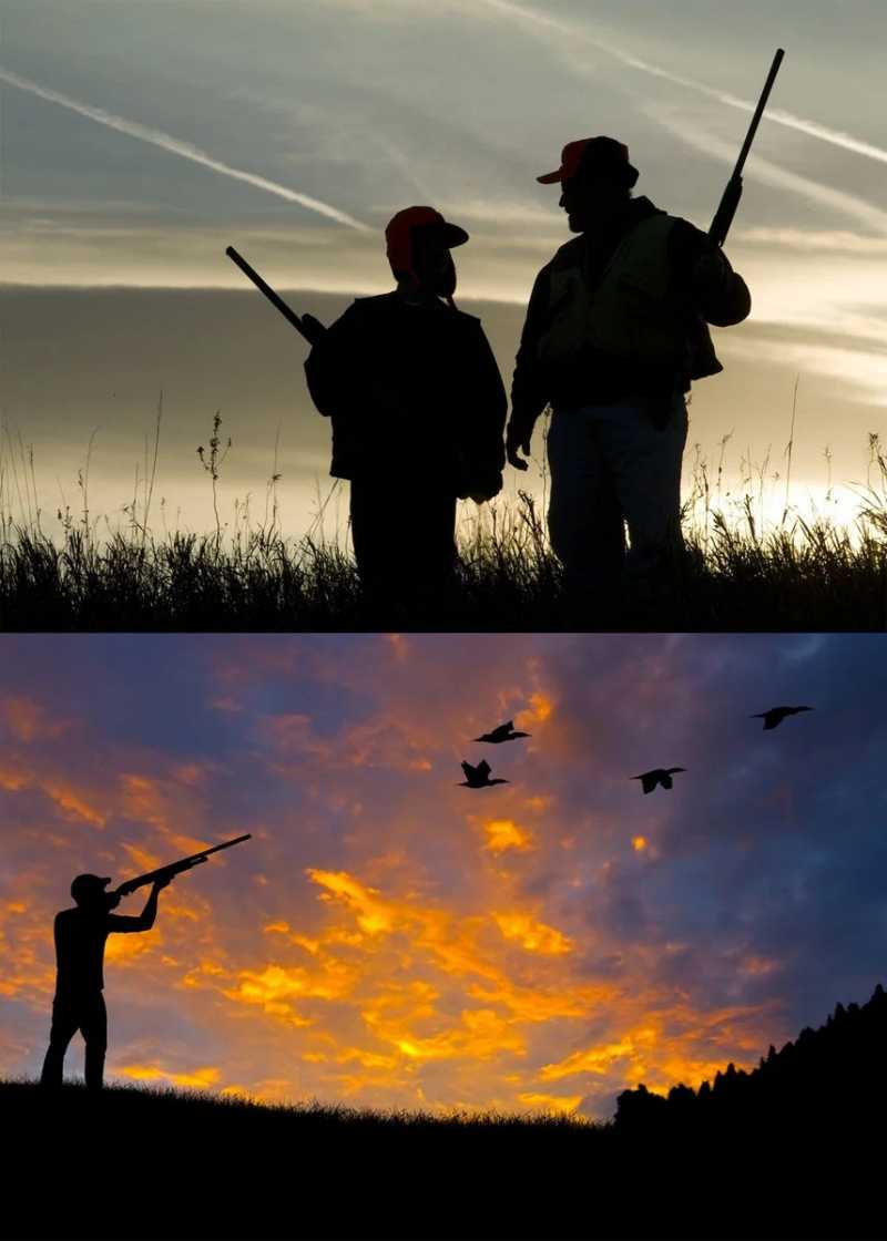 Закон Об охоте и о сохранении охотничьих ресурсов2