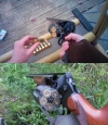 МЦ-255: охотничье ружье-револьвер 1