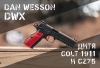 Dan Wesson