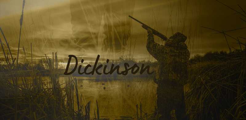 Гладкоствольное оружие Dickinson в магазине Air-Gun