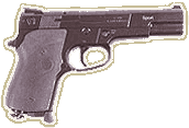 13)Пневматический пистолет Аникс серии 100